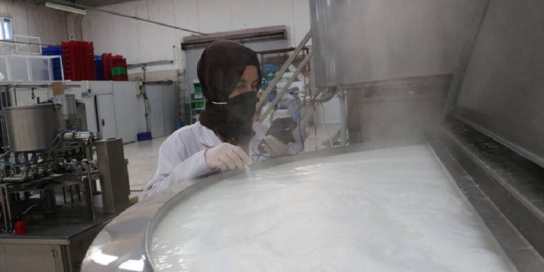 9 kadından günlük 7 ton üretim: Sütten çeşit çeşit lezzet elde ediyorlar 5